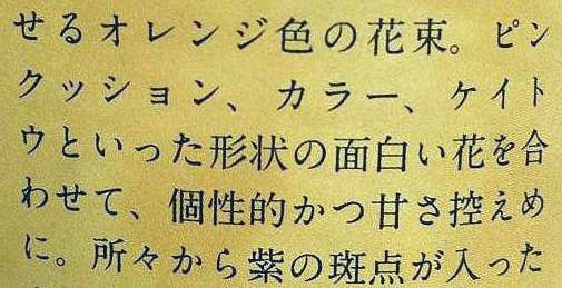 日語翻譯公司挑選注意事項介紹