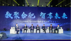 2017中國（合肥）大數(shù)據(jù)產(chǎn)業(yè)發(fā)展峰會(huì)自合肥圓滿召開